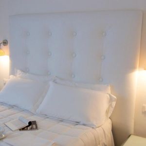 Hotel Salus